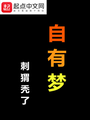 sheis什么情况下不缩写